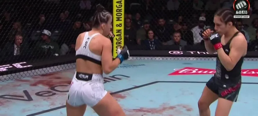 Прогнозы на UFC и бокс: MMA, единоборства